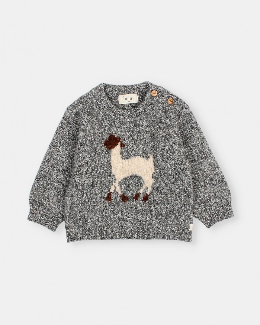 BB JERSEY LLAMA